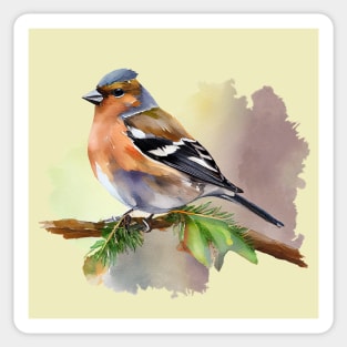 Watercolor Chaffinch on a twig Sticker